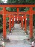 034  PARC UENO ALLEE DE TORII.jpg 